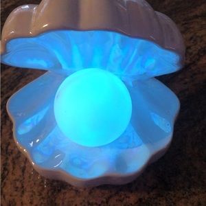 Beautiful clam shell color changing light